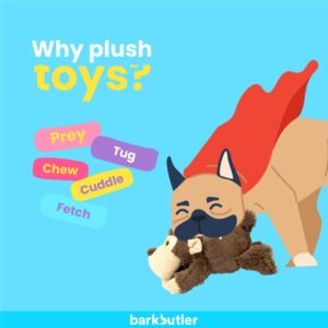 BarkButler Plush Dog Toy - Soft & Squeaky Toys for Medium Dogs (0-20kgs) - BOH The Bear - Brown