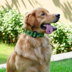 Lana Paws Polyester Tropical Vibes Soft & Sturdy Adjustable Fabric Dog Collar (Small), 14 x 1 inch, Green